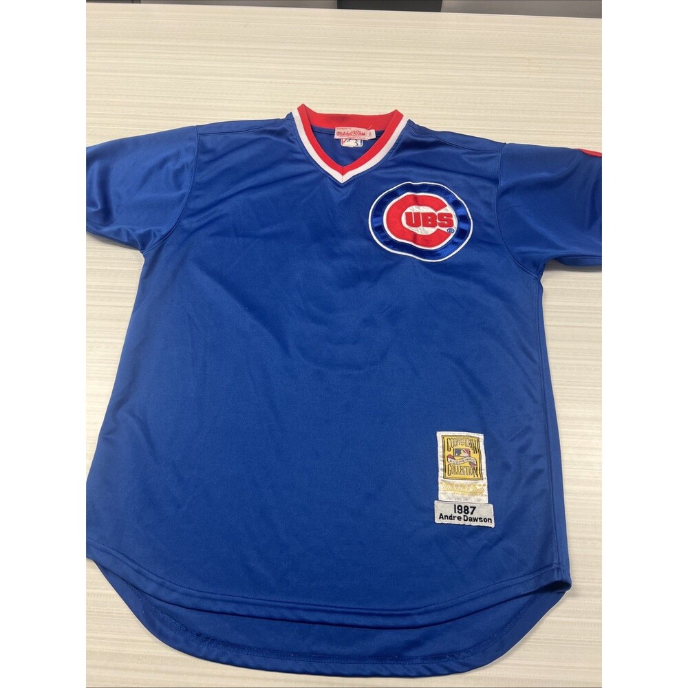 Vintage Andre Dawson Chicago Cubs Mitchell & Ness Authentic Jersey Sz 50